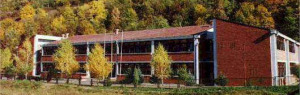 cropped-skola11.jpg