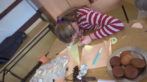 WP_20151224_11_24_46_Pro