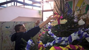 WP_20151224_11_42_05_Pro