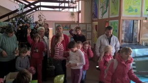 WP_20151224_11_46_09_Pro