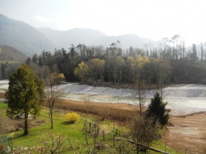 DSCN6109