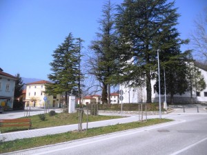 DSCN6112