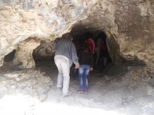 DSCN6239