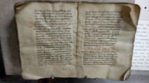 foto2