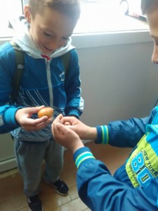 13174160_1236440143035180_4351203047085515748_n